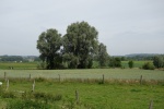 06-021-DSC00197.JPG